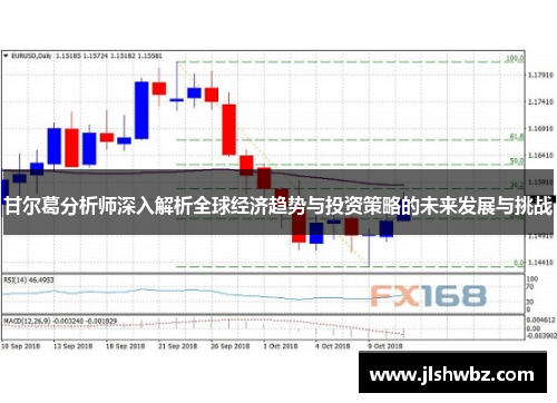 甘尔葛分析师深入解析全球经济趋势与投资策略的未来发展与挑战